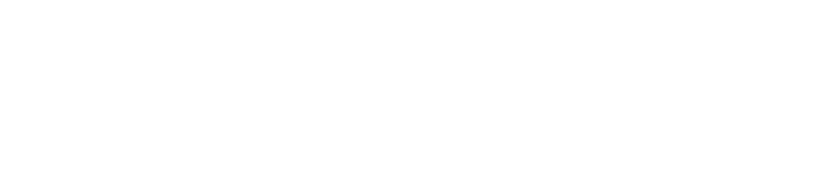 Logo Singular Talent